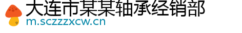 大连市某某轴承经销部